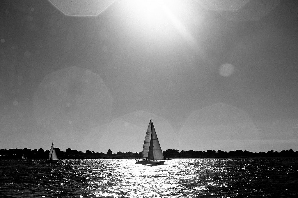 DSC5596.jpg